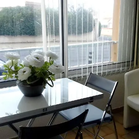 Studio A Agde Avec Piscine Partagee Et Terrasse Amenagee A 50 M De La Plage Agde